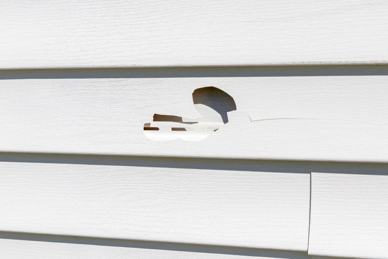 Repairing Cracks in Vinyl Siding